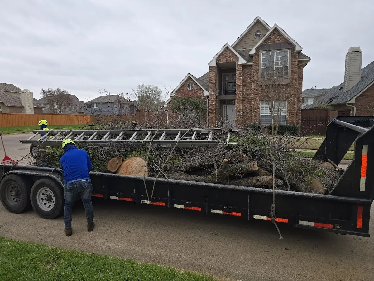 Expert Tree Fertilization with proper safety equipment in North Clarendon